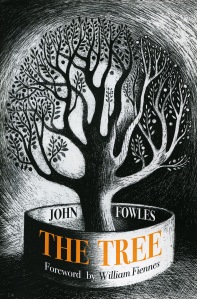 Ed Kluz illustration for John Fowles The Tree dust jacket